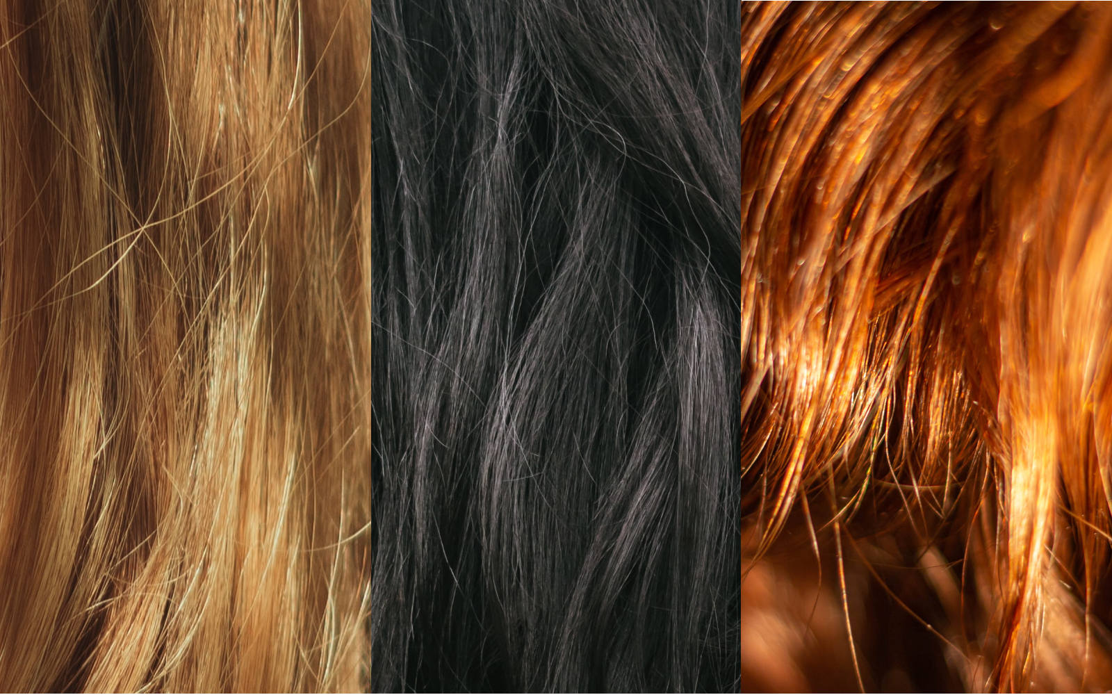 tinte colori differenti di capelli